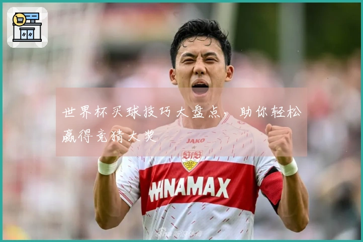 世界杯买球技巧大盘点，助你轻松赢得竞猜大奖