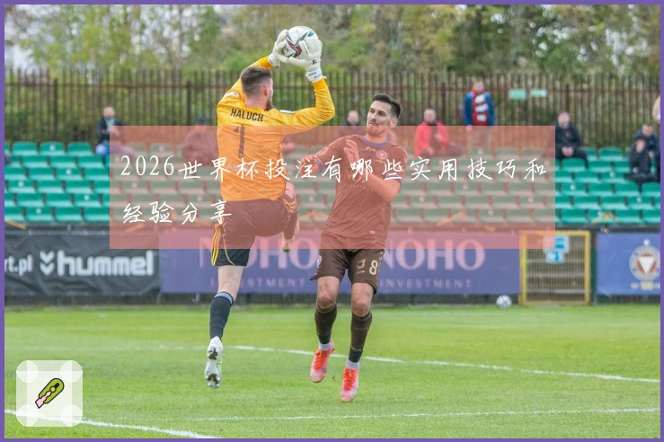 2026世界杯投注有哪些实用技巧和经验分享