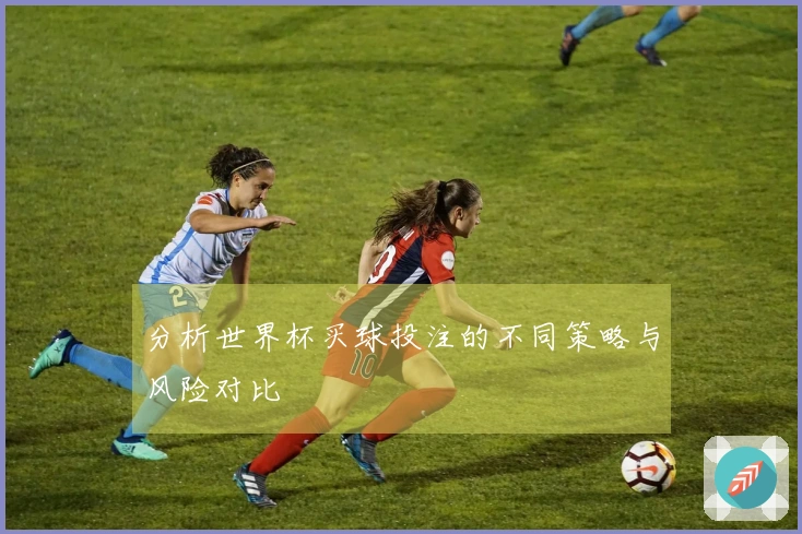 分析世界杯买球投注的不同策略与风险对比
