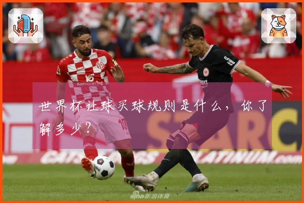 世界杯让球买球规则是什么，你了解多少？