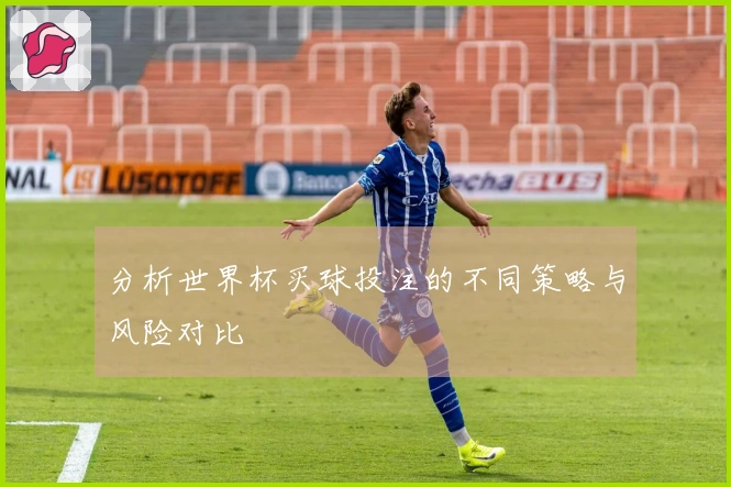 分析世界杯买球投注的不同策略与风险对比