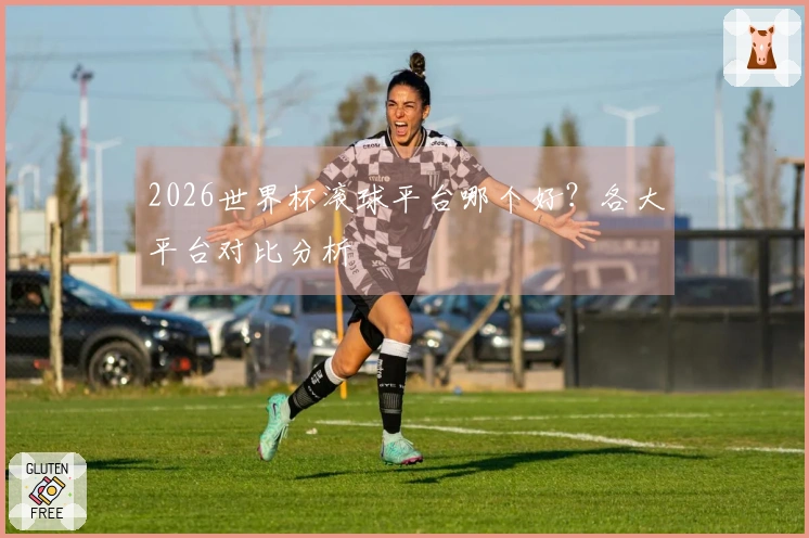 2026世界杯滚球平台哪个好？各大平台对比分析