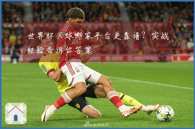 世界杯买球哪家平台更靠谱？实战经验告诉你答案